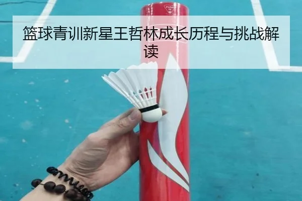 篮球青训新星王哲林成长历程与挑战解读